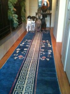 Sadie and siblings
