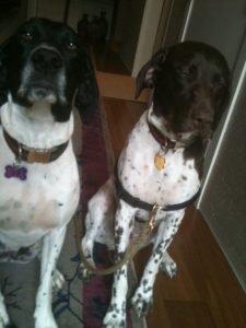 Mya expecting a trea, Sadie hoping the exercise is over soon
