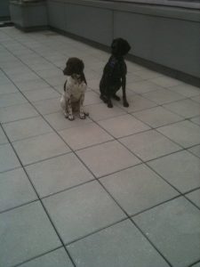 Sadie and Elias outside