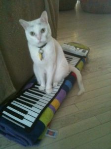 Finn after his keyboard lesson