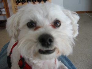 Murphy