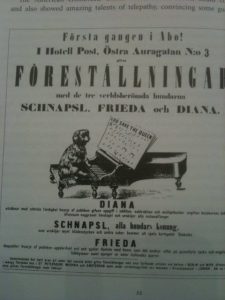 Schnapsl