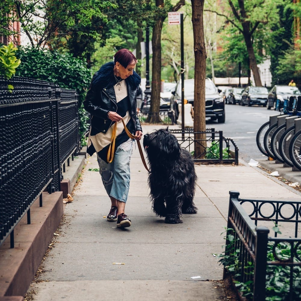 NYC Dog Trainer Services & Dog Wellness | Elisabeth Weiss walking her dog Zeldi