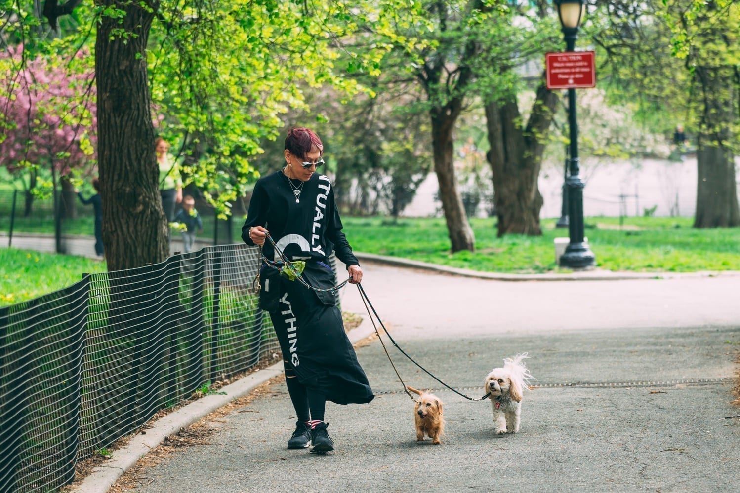 NYC Dog Trainer Elisabeth Weiss walking two dogs