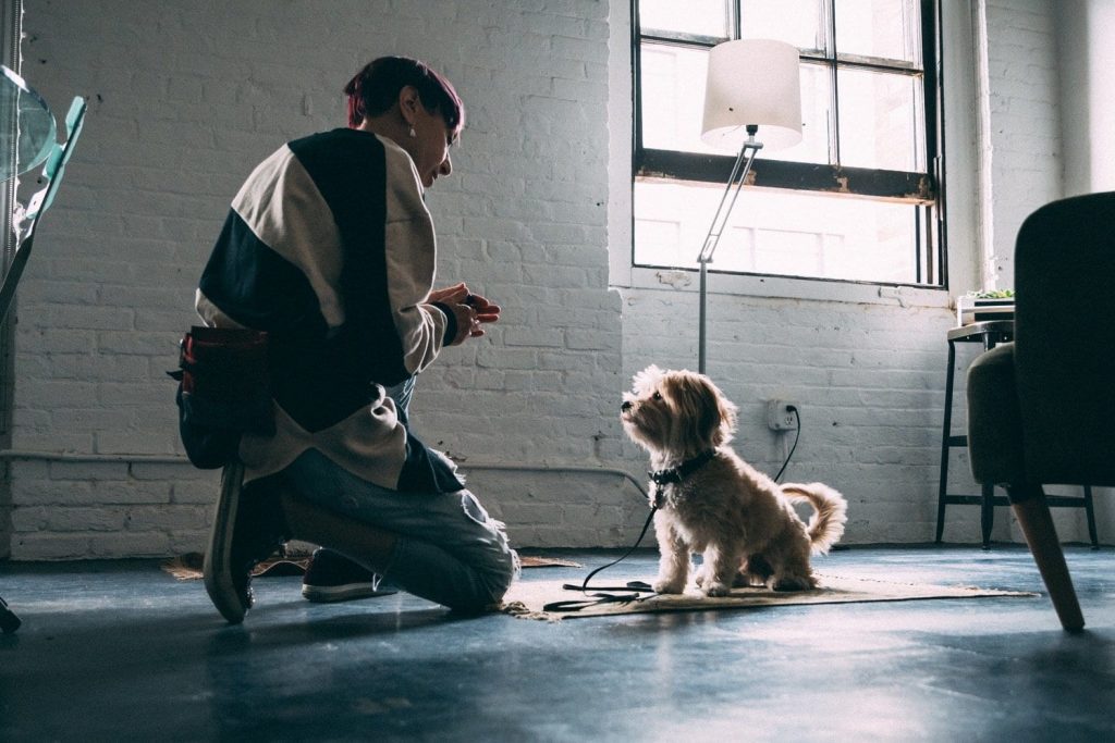 NYC Dog trainer Elisabeth Weiss works with small dog