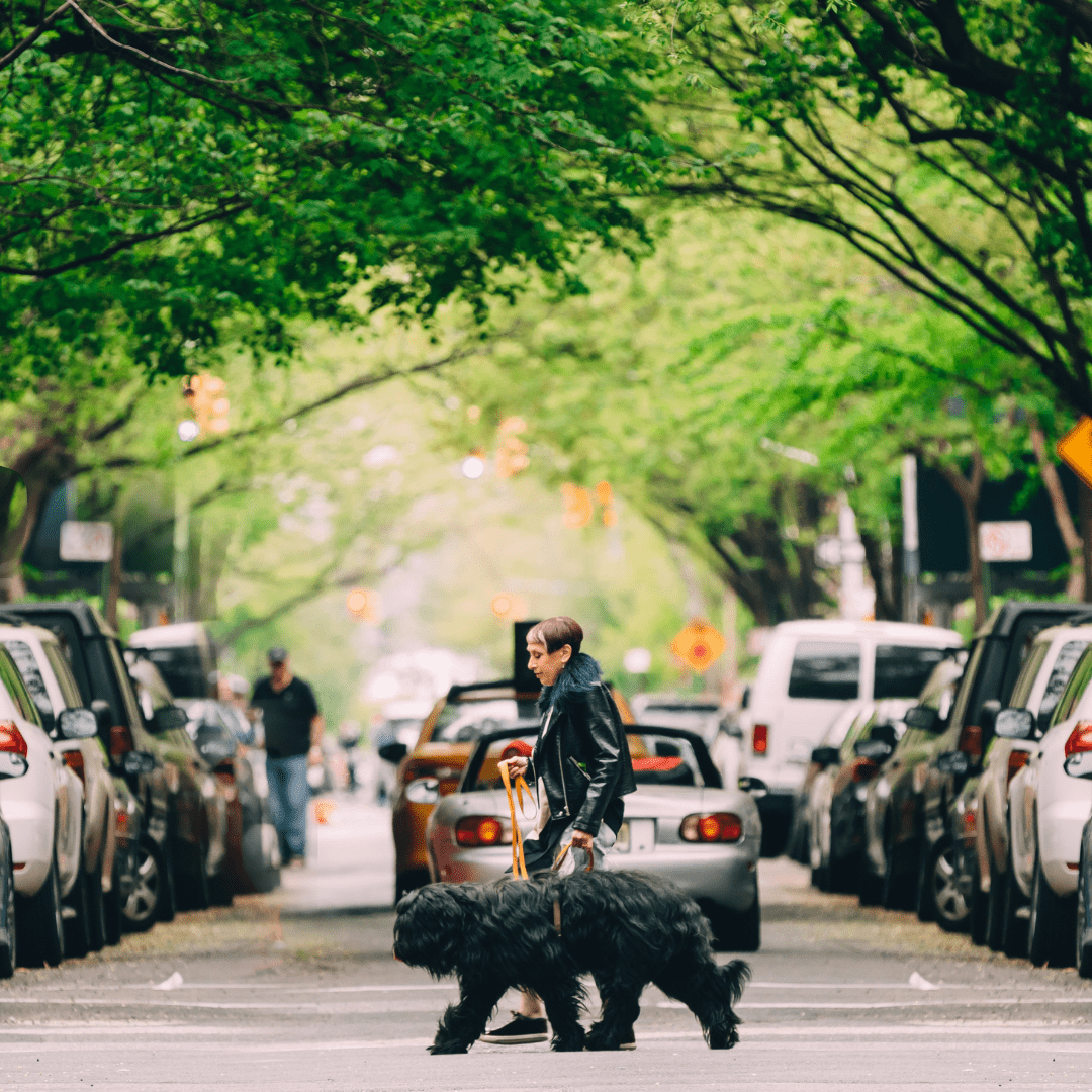 Elisabeth crossing the street with her dog